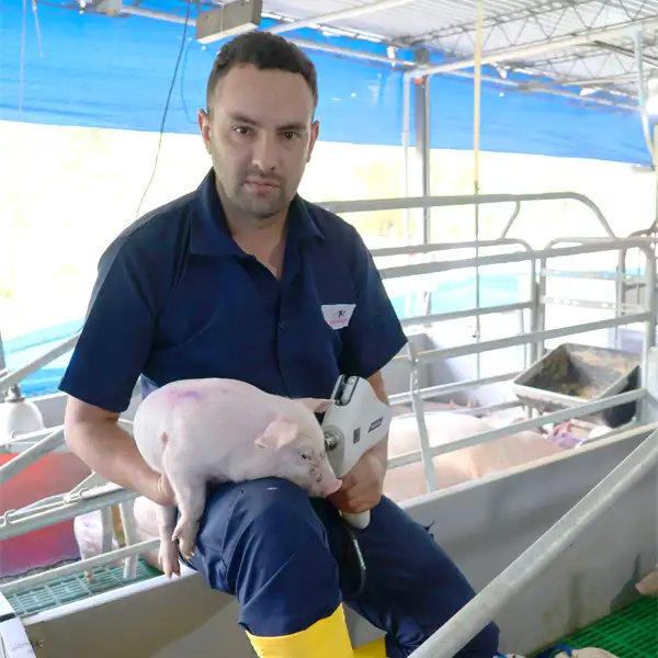 Servicio de asistencia en granja