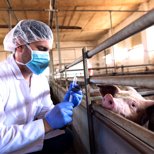 bioseguridad