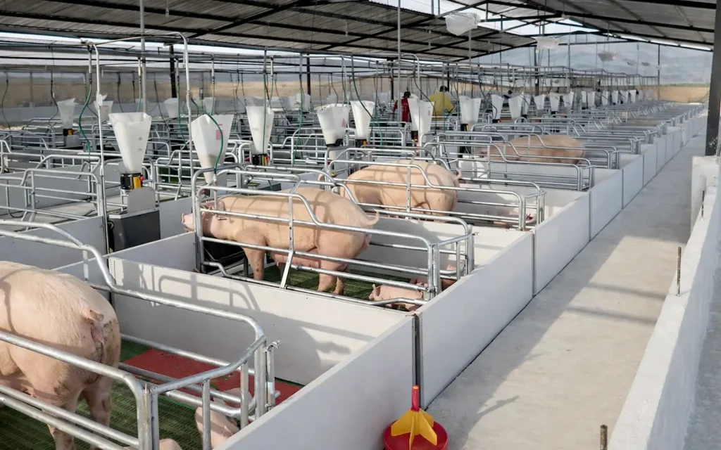 INSTALACIONES Y EQUIPOS - Campeón Agropecuario