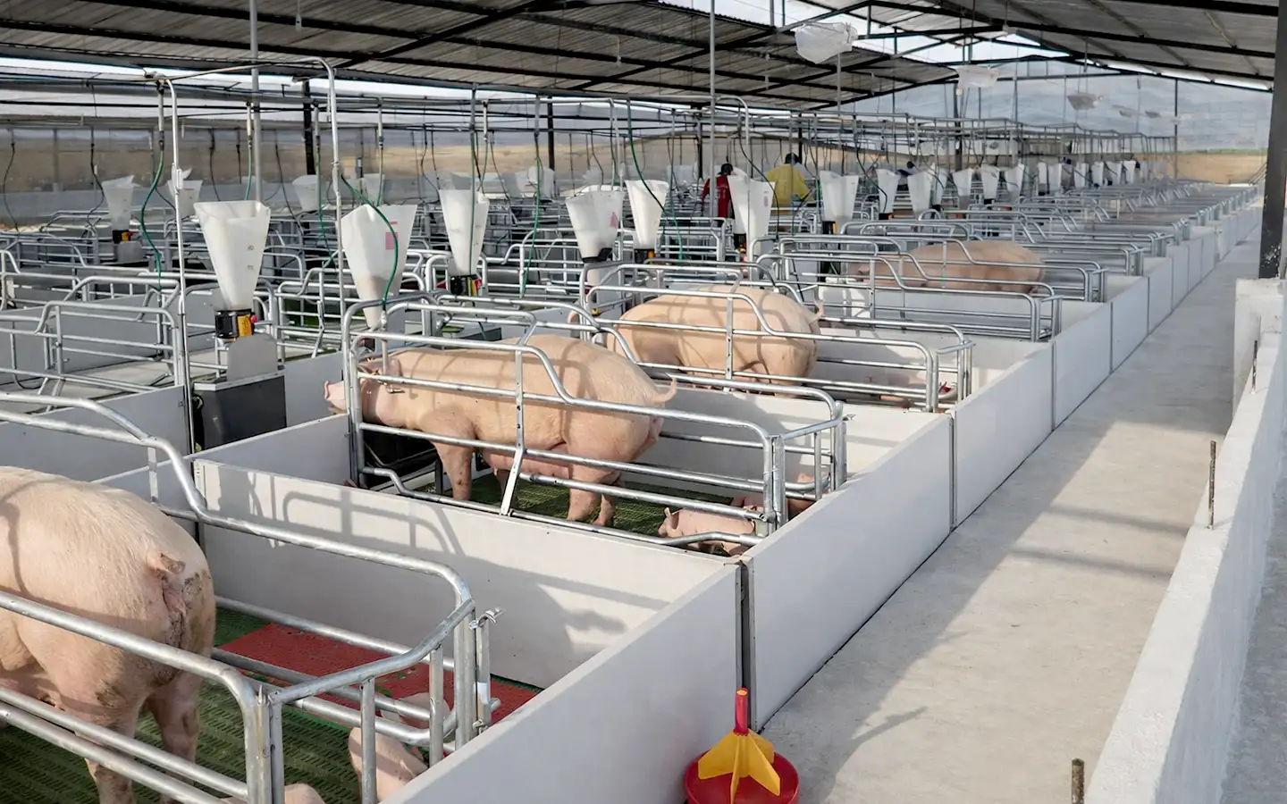 INSTALACIONES Y EQUIPOS - Campeón Agropecuario